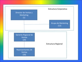 Director de Ventas y Marketing (1) Gerente Regional de Ventas (20) Representantes de Ventas (30) Grupo de Marketing (12) Estructura Corporativa Estructura Regional  