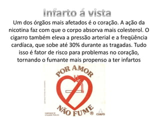 Um dos órgãos mais afetados é o coração. A ação da
nicotina faz com que o corpo absorva mais colesterol. O
cigarro também eleva a pressão arterial e a freqüência
cardíaca, que sobe até 30% durante as tragadas. Tudo
isso é fator de risco para problemas no coração,
tornando o fumante mais propenso a ter infartos

 