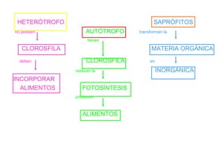 HETERÓTROFO  SAPRÓFITOS no poseen  AUTÓTROFO  transforman la tienen  CLOROSFILA  MATERIA ORGÁNICA deben  CLOROSFILA  en realizan la  INORGÁNICA INCORPORAR ALIMENTOS  FOTOSÍNTESIS producen ALIMENTOS 