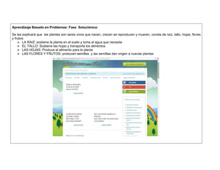 Aprendizaje Basado en Problemas: Fase Soluciónica: 
Se les explicará que las plantas son seres vivos que nacen, crecen se reproducen y mueren, consta de raíz, tallo, hojas, flores 
y frutos: 
 LA RAIZ: sostiene la planta en el suelo y toma el agua que necesita 
 EL TALLO: Sostiene las hojas y transporta los alimentos 
 LAS HOJAS: Produce el alimento para la planta 
 LAS FLORES Y FRUTOS: producen semillas y las semillas dan origen a nuevas plantas 
 
