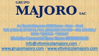 Grupo majoro presentacion