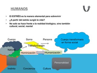HUMANOS
•    El ESTRÉS es la manera elemental para sobrevivir
•    ¿A partir del estrés surgió la vida?
•    No solo se hace frente a la realidad biológica, sino también
     cultural, social, mental




    Cuerpo           Soma              Persona             Cuerpo transformado
                                                           en forma social
                       Transformación
    Natural
                Hominización                Humanización



                                                   Personalidad

    Instinto       Conciencia          Cultura
 
