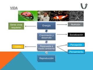 VIDA



Seres vivos      Energía        Nutrición
 requieren


              Crecimiento y    Socialización
               desarrollo


                               Percepción
    Estrés     Respuesta a
              medio ambiente
                               Pensamiento

              Reproducción
 