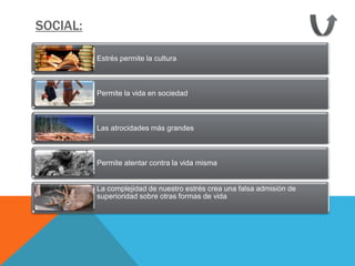 SOCIAL:

          Estrés permite la cultura



          Permite la vida en sociedad



          Las atrocidades más grandes



          Permite atentar contra la vida misma


          La complejidad de nuestro estrés crea una falsa admisión de
          superioridad sobre otras formas de vida
 