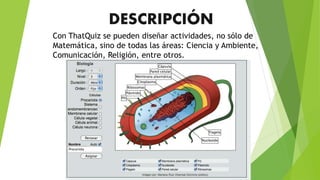DESCRIPCIÓN
Con ThatQuiz se pueden diseñar actividades, no sólo de
Matemática, sino de todas las áreas: Ciencia y Ambiente,
Comunicación, Religión, entre otros.
 