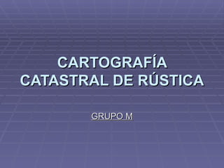 CARTOGRAFÍA CATASTRAL DE RÚSTICA GRUPO M 