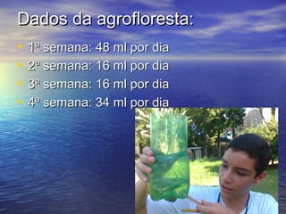 Dados da agrofloresta:Dados da agrofloresta:
• 1ª semana: 48 ml por dia1ª semana: 48 ml por dia
• 2ª semana: 16 ml por dia2ª semana: 16 ml por dia
• 3ª semana: 16 ml por dia3ª semana: 16 ml por dia
• 4ª semana: 34 ml por dia4ª semana: 34 ml por dia
 