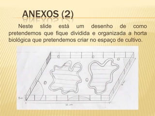 	Anexos (2)Neste slide está um desenho de como pretendemos que fique dividida e organizada a horta biológica que pretendemos criar no espaço de cultivo.