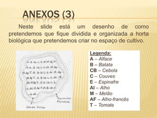 	Anexos (3)Neste slide está um desenho de como pretendemos que fique dividida e organizada a horta biológica que pretendemos criar no espaço de cultivo.Legenda:A – AlfaceB – BatataCB – CebolaC – CouvesE – EspinafreAl – AlhoM – MelãoAF – Alho-francêsT – Tomate