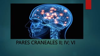 PARES CRANEALES II; IV; VI
 