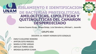 AISLAMIENTO E IDENTIFICACION
DE BACTERIAS PROTEOLITICAS,
AMILOLÍTICAS, LIPOLÍTICAS Y
QUITINOLÍTICAS DEL CAMARON
DESPERDICIADO
GRUPO #04
- EMILY CUSILAYME ROMERO
- AYRTON SOTO PAREDES
- MARIA CUTIRE VARGAS
- ANYULIA TORRES SOSA
- BRENDA QUIRPER CCAMA
DOCENTE: Dr. HEBERT HERNAN SOTO GONZALES
Autores Susana Sirvas, Vanesa Buleje, Licia Salvatierra y Michael L. Jaramillo
 