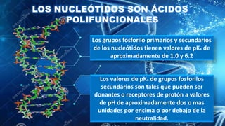 GRUPO N°12 - TEMA 32-Nucleótidos del libro Bioquímica de Jawetz.pptx