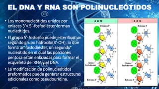 GRUPO N°12 - TEMA 32-Nucleótidos del libro Bioquímica de Jawetz.pptx