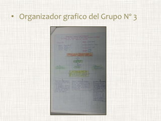 • Organizador grafico del Grupo Nº 3
 