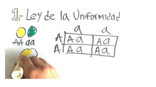 Grupo N4  contabilidad B.pptx