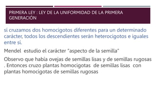 PRIMERA LEY : LEY DE LA UNIFORMIDAD DE LA PRIMERA
GENERACIÓN
sí cruzamos dos homocigotos diferentes para un determinado
carácter, todos los descendientes serán heterocigotos e iguales
entre sí.
Mendel estudio el carácter “aspecto de la semilla”
Observo que había ovejas de semillas lisas y de semillas rugosas
. Entonces cruzo plantas homocigotas de semillas lisas con
plantas homocigotas de semillas rugosas
 