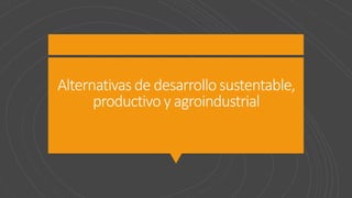 Alternativas de desarrollo sustentable,
productivo y agroindustrial
 