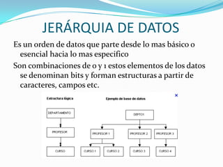 JERÁRQUIA DE DATOS
Es un orden de datos que parte desde lo mas básico o
  esencial hacia lo mas especifico
Son combinaciones de o y 1 estos elementos de los datos
  se denominan bits y forman estructuras a partir de
  caracteres, campos etc.
 