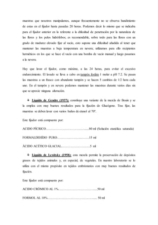 muestras que nosotros manipulamos, aunque frecuentemente no se observa hundimiento
de estas en el fijador hasta pasadas 20 horas. Podemos decir lo mismo que se indicaba
para el fijador anterior en lo referente a la dificultad de penetración por la naturaleza de
las flores y los pelos hidrófobos; es recomendable, sobre todo para las flores con un
grado de madurez elevado fijar al vacío, esto supone una dificultad añadida al tener que
mantener las muestras a baja temperatura en nevera; utilizamos para ello recipientes
herméticos en los que se hace el vacío con una bomba de vacío manual y luego pasamos
a la nevera.
Hay que lavar el fijador, como máximo, a las 24 horas, para evitar el excesivo
endurecimiento. El lavado se lleva a cabo en tampón fosfato 1 molar a pH 7.2. Se pasan
las muestras a un frasco con abundante tampón y se hacen 5 cambios de 1/2 hora cada
uno. En el tampón y en nevera podemos mantener las muestras durante varios días sin
que se aprecie ninguna alteración.
 Líquido de Gendre (1937): constituye una variante de la mezcla de Bouin y se
la emplea con muy buenos resultados para la fijación de Glucógeno. Tras fijar, las
muestras se deben lavar con varios baños de etanol al 70º.
Este fijador está compuesto por:
ACIDO PÍCRICO………………………………......80 ml (Solución etanólica saturada)
FORMALDEHÍDO PURO…………………...…….15 ml
ÁCIDO ACÉTICO GLACIAL………………………5 ml
 Líquido de Lewitsky (1958): esta mezcla permite la preservación de depósitos
grasos de tejidos animales y, en especial, de vegetales. En nuestro laboratorio se lo
utiliza con el mismo propósito en tejidos embrionarios con muy buenos resultados de
fijación.
Este fijador está compuesto por:
ACIDO CRÓMICO AL 1%…………………………….....50 ml
FORMOL AL 10%……………………………………...... 50 ml
 