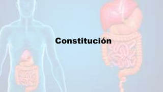 Constitución
 