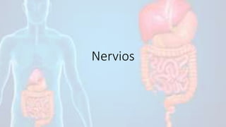 Nervios
 