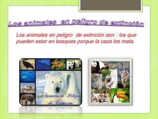 Los animales en peligro de extinción son : los que
pueden estar en bosques porque la caza los mata.
 