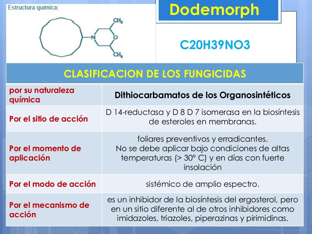 Grupo quimico morfolina