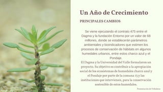 Un Año de Crecimiento
PRINCIPALES CAMBIOS
Se viene ejecutando el contrato 475 entre el
Dagma y la fundación Entorno por un valor de 68
millones, donde se establecerán parámetros
ambientales y bioindicadores que estimen los
procesos de conservación de hábitats en algunos
humedales urbanos, entre estos charco azul y el
Pondaje.
El Dagma y la Universidad del Valle formularon un
proyecto. Su objetivo es contribuir a la apropiación
social de los ecosistemas de humedales charco azul y
el Pondaje por parte de la comuna 13 y las
instituciones que intervienen, para la conservación
sostenible de estos humedales.
Presentación de Tribalstar
 