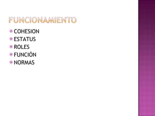 COHESION ESTATUS ROLES FUNCIÓN NORMAS 