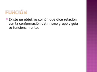 Existe un objetivo común que dice relación con la conformación del mismo grupo y guía su funcionamiento.