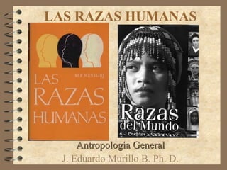 LAS RAZAS HUMANAS Antropología General J. Eduardo Murillo B. Ph. D. 