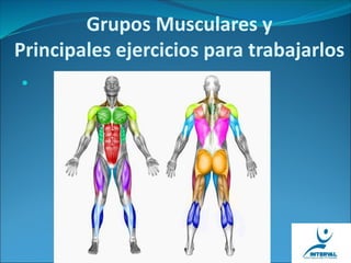 Grupos Musculares y
Principales ejercicios para trabajarlos

 