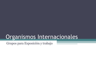 Organismos Internacionales Grupos para Exposición y trabajo 