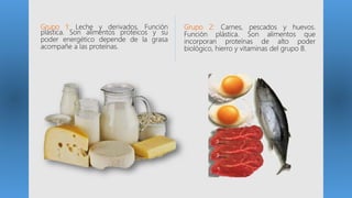 Grupo 1: Leche y derivados. Función
plástica. Son alimentos proteicos y su
poder energético depende de la grasa
acompañe a las proteínas.
Grupo 2: Carnes, pescados y huevos.
Función plástica. Son alimentos que
incorporan proteínas de alto poder
biológico, hierro y vitaminas del grupo B.
 