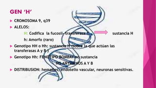 GEN ‘H’
 CROMOSOMA 9, q39
 ALELOS:
H: Codifica la fucosil- transferasa 1 sustancia H
h: Amorfo (raro)
 Genotipo HH o Hh: sustancia H (sobre la que actúan las
transferasas A y B )
 Genotipo Hh: FENOTIPO BOMBAY no sustancia
NO ANTIGENOS A Y B
 DISTRIBUSION: hematíes, endotelio vascular, neuronas sensitivas.
 