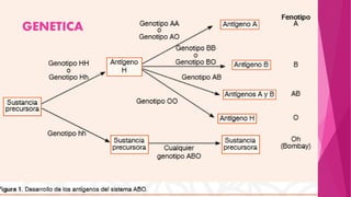 GENETICA
 