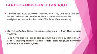GENES LIGADOS CON EL GEN A,B,O
 Sistema secretor: Existe un GEN secretor (Se) que hace que en
las secreciones corporales existan las mismas sustancias
antigénicas que en los hematíesGEN Sese (Gen secretor)
 Genotipo SeSe y Sese presenta sustancias H, A y/o B en semen
y saliva.
 Los homocigotos (sese) con gen nulo no tienen sustancia H, A
ni B. Muy importante cuando la detección del grupo hemático
y sérico no es concluyente.
 