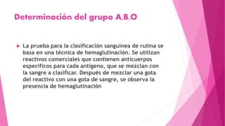 Determinación del grupo A,B,O
 La prueba para la clasificación sanguínea de rutina se
basa en una técnica de hemaglutinación. Se utilizan
reactivos comerciales que contienen anticuerpos
específicos para cada antígeno, que se mezclan con
la sangre a clasificar. Después de mezclar una gota
del reactivo con una gota de sangre, se observa la
presencia de hemaglutinación
 