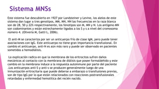 Sistema MNSs
Este sistema fue descubierto en 1927 por Landsteiner y Levine, los alelos de este
sistema dan lugar a tres genotipos, MM, MN, NN las frecuencias en la raza blanca
son de 28, 50 y 22% respectivamente, los fenotipos son M, MN y N. Los antígeno MN
son codominantes y están estrechamente ligados a los S y s a nivel del cromosoma
número 4. (Oliveria M, Gatti L, 2006).
El anti-M se caracteriza por ser un anticuerpo frío de clase IgM, pero puede tener
asociaciones con IgG. Este anticuerpo no tiene gran importancia transfusional. En
cambio el anticuerpo, anti-N es aún más raro y puede ser observado en pacientes
sometidos a hemodiálisis.
La explicación radica en que la membrana de los eritrocitos sufren daños
mecánicos al contacto con la membrana de diálisis que posee formaldehido y este
cambio en la membrana induce a la respuesta autoinmune por parte del paciente
.Los anticuerpos anti-S y anti-s se producen generalmente luego de una
inmunización eritrocitaria que puede deberse a embarazo o transfusiones previas,
son de tipo IgG por lo que están relacionados con reacciones postransfusionales
retardadas y enfermedad hemolítica del recién nacido.
 