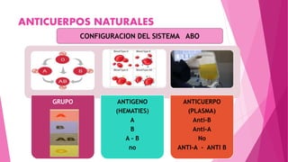 ANTICUERPOS NATURALES
CONFIGURACION DEL SISTEMA ABO
GRUPO ANTIGENO
(HEMATIES)
A
B
A - B
no
ANTICUERPO
(PLASMA)
Anti-B
Anti-A
No
ANTI-A - ANTI B
 