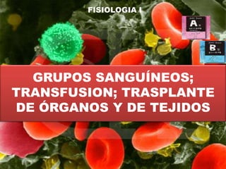 FISIOLOGIA I
GRUPOS SANGUÍNEOS;
TRANSFUSION; TRASPLANTE
DE ÓRGANOS Y DE TEJIDOS
 