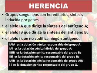 HERENCIAGrupos sanguíneos son hereditarios, síntesis inducida por genes.el alelo IA que dirige la síntesis del antígeno A; el alelo IB que dirige la síntesis del antígeno B; el alelo i que no codifica ningún antígeno. IAIA  es la dotación génica responsable del grupo A; IAi  es la dotación génica híbrida del grupo A; IBIB  es la dotación génica responsable del grupo B; IBi  es la dotación génica responsable del grupo B; IAIB  es la dotación génica responsable del grupo AB; i i  es la dotación génica responsable del grupo O. 