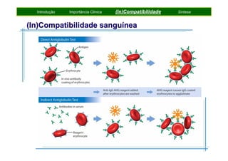 Introdução

Importância Clínica

(In)Compatibilidade

(In)Compatibilidade sanguínea

Síntese

 