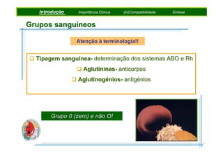 Introdução
Introdução
Introdução

Pigmentos Fotossintéticos
Importância Clínica
Importância Clínica

Etapas da Fotossíntese
Rochas Metamórficas
(In)Compatibilidade

Síntese
Síntese
Síntese

Grupos sanguíneos
Atenção à terminologia!!

Tipagem sanguínea- determinação dos sistemas ABO e Rh
Aglutininas- anticorpos
Aglutinogénios- antigénios

Grupo 0 (zero) e não O!

 