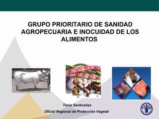 GRUPO PRIORITARIO DE SANIDAD
AGROPECUARIA E INOCUIDAD DE LOS
ALIMENTOS

Tania Santivañez
Oficial Regional de Protección Vegetal

 