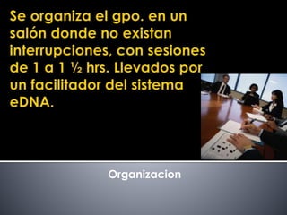 Organizacion