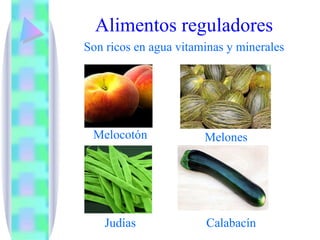 Alimentos reguladores Son ricos en agua vitaminas y minerales Melocotón Judías Melones Calabacín 