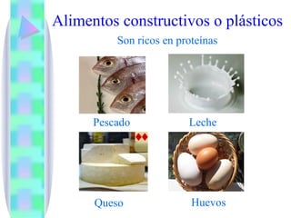 Alimentos constructivos o plásticos Son ricos en proteínas Pescado Leche Huevos Queso 