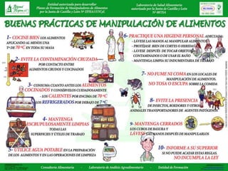 Grupos de alimentos