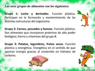 Los siete grupos de alimentos son los siguientes:
Grupo 1: Leche y derivados. Función plástica.
Participan en la formación y mantenimiento de las
distintas estructuras del organismo.
Grupo 2: Carnes, pescados y huevos. Función plástica.
Son alimentos que incorporan proteínas de alto poder
biológico, hierro y vitaminas del grupo B.
Grupo 3: Patatas, legumbres, frutos secos. Función
plástica y energética. Energética en el sentido de que
aportan energía gracias al contenido en hidratos de
carbono.
 